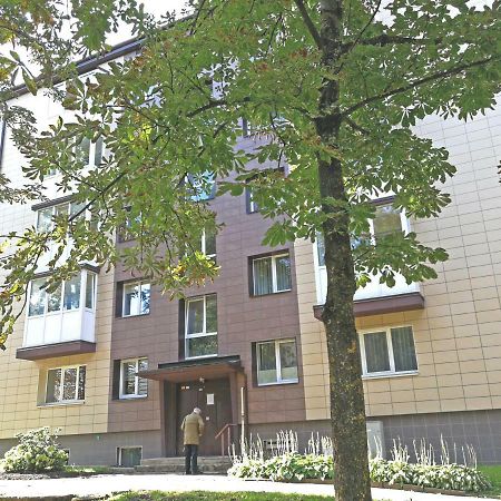 Siauliai Central Spot Apartment - Draugystes Pr. المظهر الخارجي الصورة